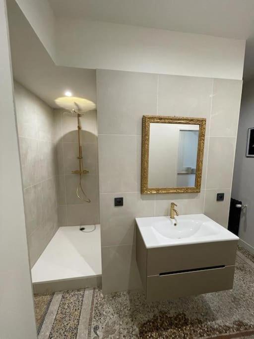 Appartement Chic Et De Caractere ! Saint-Cyr-au-Mont-d'Or Exterior foto